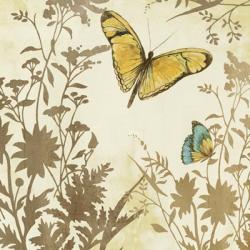 Butterfly in Flight I | Obraz na stenu