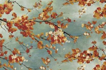 Orange Blossom | Obraz na stenu