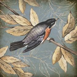 Songbird Fable I | Obraz na stenu