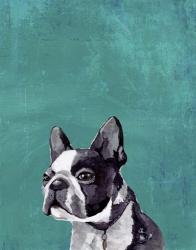 Frenchie Puppy | Obraz na stenu
