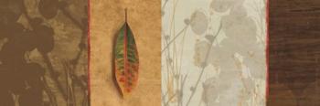 Leaf Song | Obraz na stenu