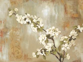 Blossoms In Bloom | Obraz na stenu