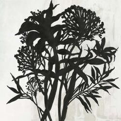 Black Foliage | Obraz na stenu