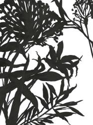 Monochrome Foliage I | Obraz na stenu