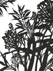 Monochrome Foliage II | Obraz na stenu