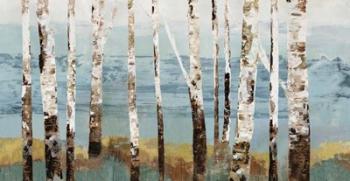 Birch Reflection | Obraz na stenu
