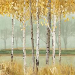 Golden Birch | Obraz na stenu