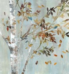 Birch with Leaves I | Obraz na stenu