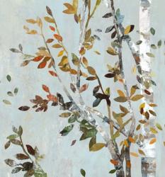 Birch with Leaves II | Obraz na stenu