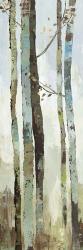 Towering Trees II | Obraz na stenu