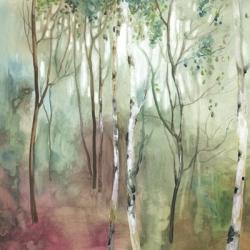 Birch in the Fog I | Obraz na stenu