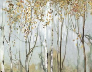 Birch in the Fog II | Obraz na stenu