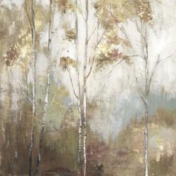 Fine Birch II | Obraz na stenu