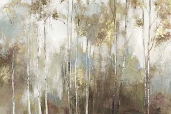 Fine Birch III | Obraz na stenu