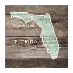 Florida Rustic Map | Obraz na stenu