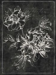 Black Botanical I | Obraz na stenu