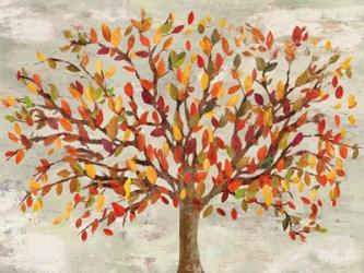 Fall Foliage | Obraz na stenu