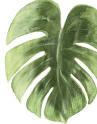Palm Green I | Obraz na stenu