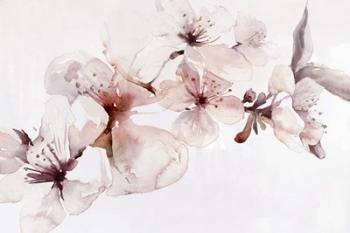 Watercolor Blossoms I | Obraz na stenu