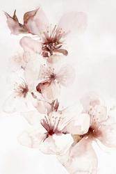 Watercolor Blossoms II | Obraz na stenu
