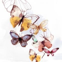 Butterfly Fly Away I | Obraz na stenu