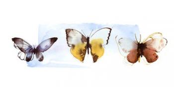 Butterfly Fly Away II | Obraz na stenu