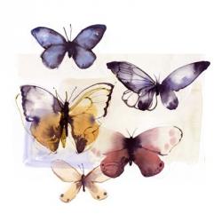 Butterfly Fly Away III | Obraz na stenu