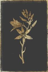 Botanical Gold on Black I | Obraz na stenu