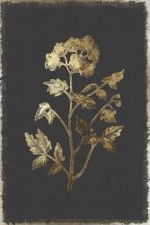 Botanical Gold on Black II | Obraz na stenu