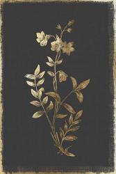 Botanical Gold on Black IV | Obraz na stenu