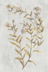 Botanical Gold on White II | Obraz na stenu