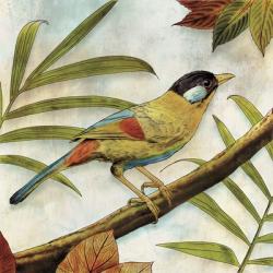 Jungle Bird I | Obraz na stenu