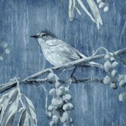 Denim Songbird I | Obraz na stenu