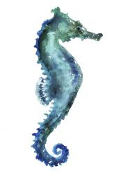 Sea Horse | Obraz na stenu