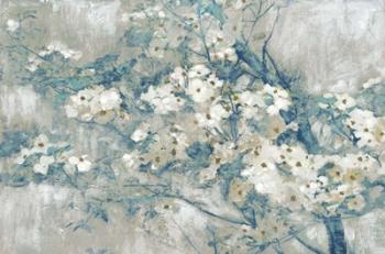 Dogwood Bloom | Obraz na stenu