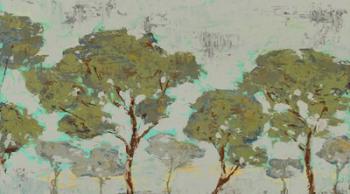 Tree Tranquility | Obraz na stenu