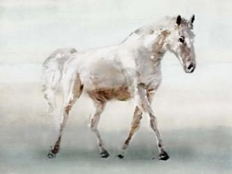 White Horse | Obraz na stenu