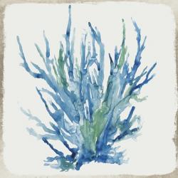 Blue and Green Coral II | Obraz na stenu