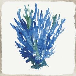 Blue and Green Coral III | Obraz na stenu