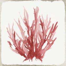Red Coral I | Obraz na stenu