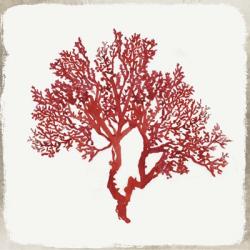 Red Coral II | Obraz na stenu