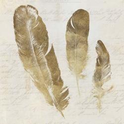 Feather Softly I | Obraz na stenu