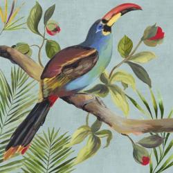 Paradise Toucan I | Obraz na stenu