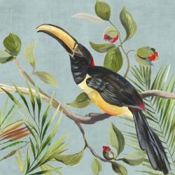 Paradise Toucan II | Obraz na stenu