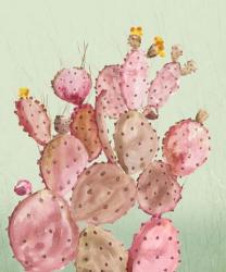 Pink Cacti | Obraz na stenu