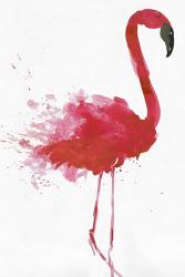 Flamingo Portrait II | Obraz na stenu