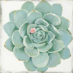 Pastel Succulent I | Obraz na stenu