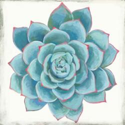 Pastel Succulent II | Obraz na stenu