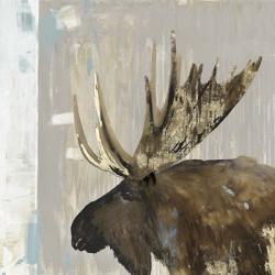 Moose Tails I | Obraz na stenu