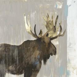 Moose Tails II | Obraz na stenu